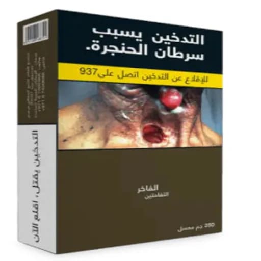  الفاخر نكهة معسل نكهة  تفاحتين ربع كيلو 