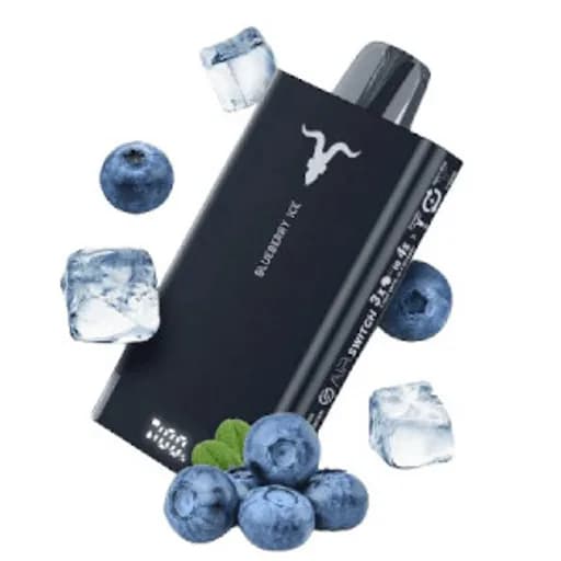 اجنايت 15000 بلوبيري ايس - IGNITE 15000 BLUEBERRY ICE