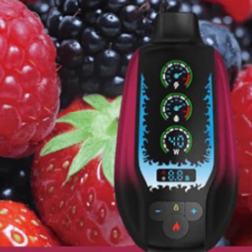 مزاج اس اس 20000 مكس بيري - MAZAJ SS 20000 MIXED BERRIES