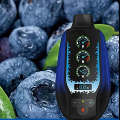مزاج اس اس 20000 توت ازرق بارد - MAZAJ SS 20000 BLUEBERRY ICE