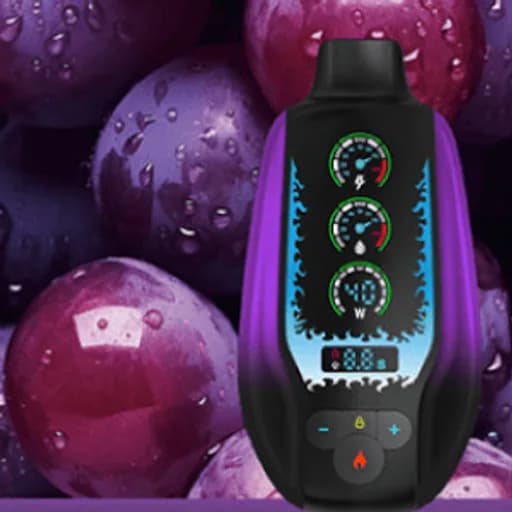 مزاج اس اس 20000 عنب بارد - MAZAJ SS 20000 GRAPE ICE