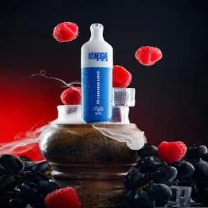 توت ازرق بارد