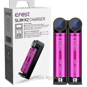 شاحن بطاريات ثنائي