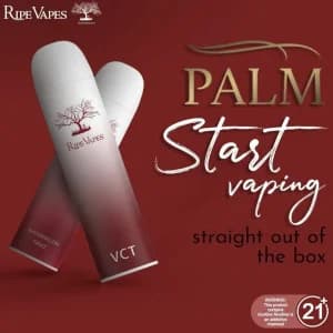 فانيلا كاسترد توباكو