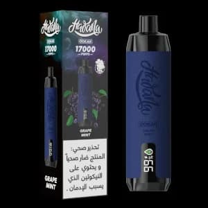 هوانا 17000 عنب نعناع