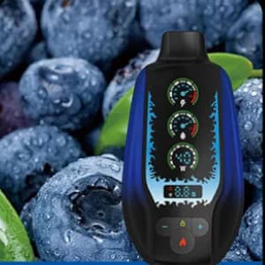 مزاج 20000 توت ازرق بارد