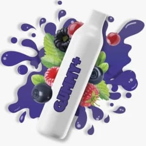 مكس توت مشكل