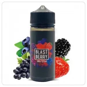 بلاست بيري انفجار التوت فيب 3 - 18 نيكوتين - Blast Berry Vape 120 ml صورة 