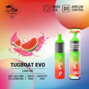 سحبة تاج بوت لوش ايس 4500 موشة - TUGBOAT EVO lush ice 4500 PUFFS صورة 