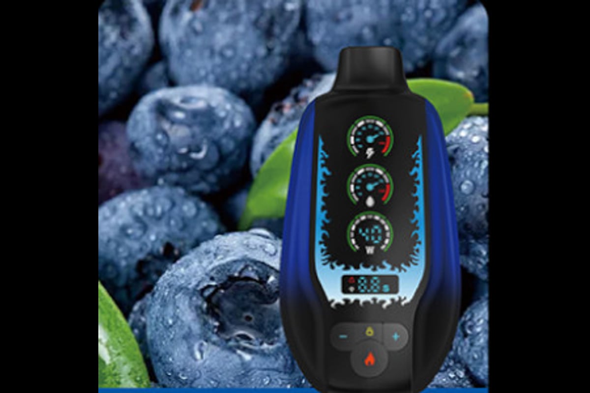 مزاج اس اس 20000 توت ازرق بارد - MAZAJ SS 20000 BLUEBERRY ICE