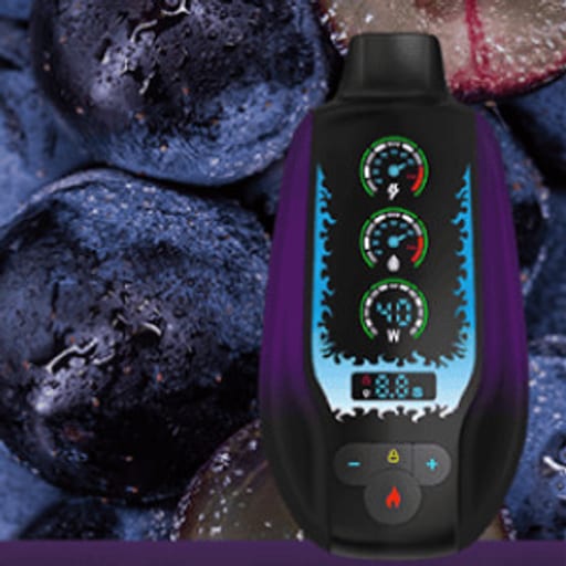 مزاج اس اس عنب أسود 20000 - MAZAJ SS 20000 BLACK GRAPE - صورة رقم 1 - مزاج اس اس عنب أسود 20000 - MAZAJ SS 20000 BLACK GRAPE | تسوق الآن من روقان