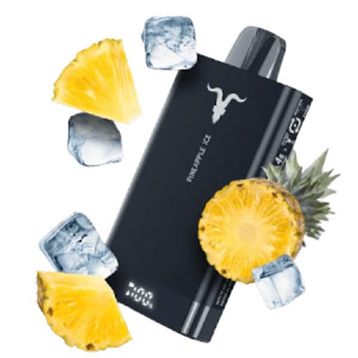 اجنايت 15000 أناناس ايس - IGNITE 15000 PINEAPPLE ICE - صورة رقم 1 - اجنايت 15000 أناناس ايس - IGNITE 15000 PINEAPPLE ICE | تسوق الآن من روقان