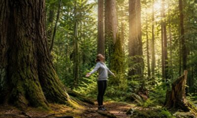 Forest Bathing