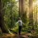 Forest Bathing
