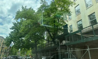 Scaffolding Rental