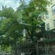 Scaffolding Rental