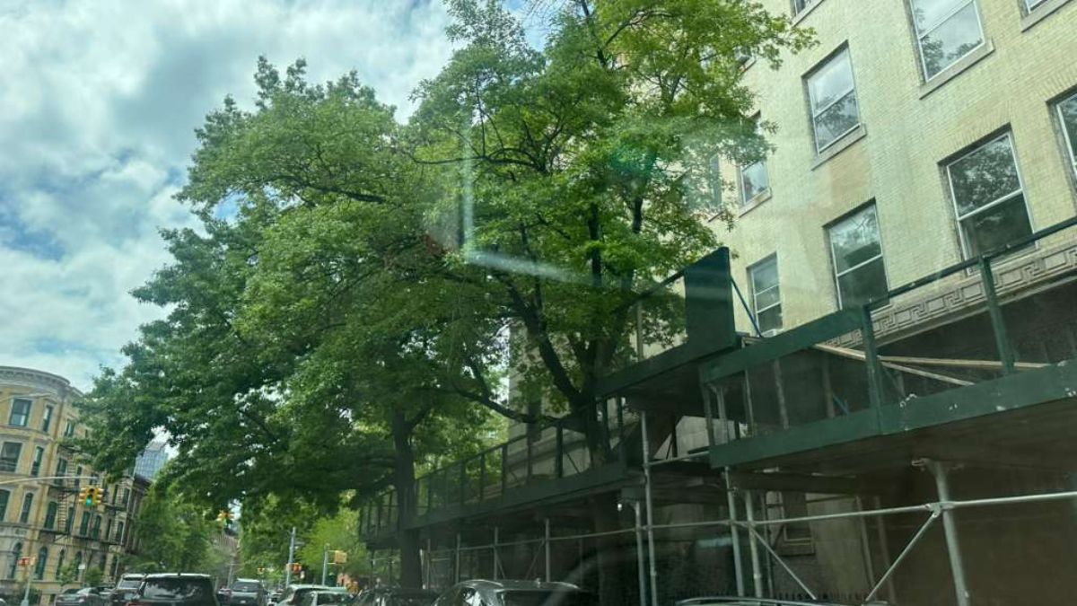 Scaffolding Rental