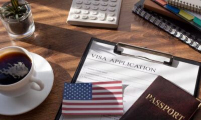 U.S. Visa Systems