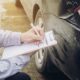 Car Accident Attorneys
